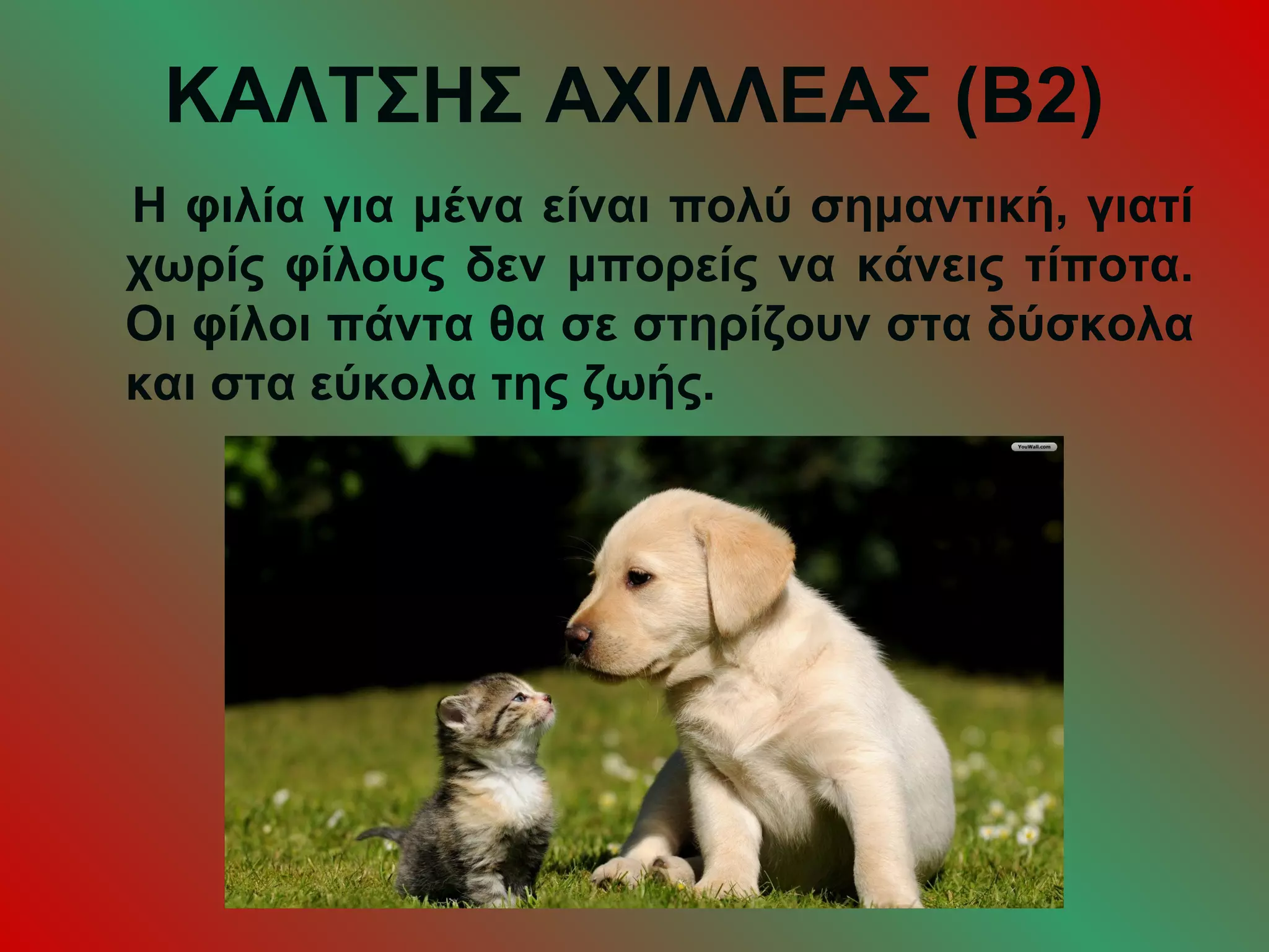 ΚΑΛΤΣΗΣ ΑΧΙΛΛΕΑΣ (Β2)
Η φιλία για μένα είναι πολύ σημαντική, γιατί
χωρίς φίλους δεν μπορείς να κάνεις τίποτα.
Οι φίλοι πάντα θα σε στηρίζουν στα δύσκολα
και στα εύκολα της ζωής.
 