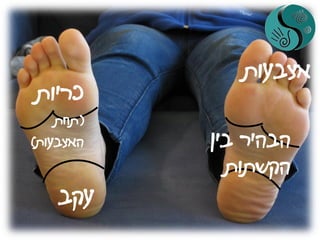 ‫אצבעות‬
‫עקב‬
‫בין‬ ‫הבהיר‬
‫הקשתות‬
‫כריות‬
(‫תחת‬
‫האצבעות‬)
 