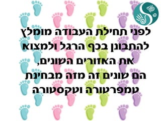 ‫מומלץ‬ ‫העבודה‬ ‫תחילת‬ ‫לפני‬
‫ולמצוא‬ ‫הרגל‬ ‫בכף‬ ‫להתבונן‬
‫השונים‬ ‫האזורים‬ ‫את‬,
‫מבחינת‬ ‫מזה‬ ‫זה‬ ‫שונים‬ ‫הם‬
‫וטקסטורה‬ ‫טמפרטורה‬
 