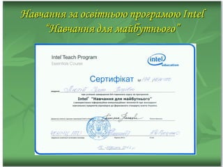 портфоліо люта