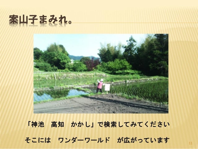 地域活性たからいちレポート