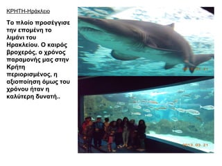 ΚΡΗΤΗ-Ηράκλειο
Το πλοίο προσέγγισε
την επομένη το
λιμάνι του
Ηρακλείου. Ο καιρός
βροχερός, ο χρόνος
παραμονής μας στην
Κρήτη
περιορισμένος, η
αξιοποίηση όμως του
χρόνου ήταν η
καλύτερη δυνατή..
 