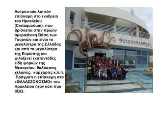 Αστραπιαία λοιπόν
επίσκεψη στο ενυδρείο
του Ηρακλείου
(Cretaquarium), που
βρίσκεται στην πρώην
αμερικάνικη Βάση των
Γουρνών και είναι το
μεγαλύτερο της Ελλάδας
και από τα μεγαλύτερα
της Ευρώπης και
φιλοξενεί εκατοντάδες
είδη ψαριών της
Μεσογείου, θαλάσσιες
χελώνες, καρχαρίες κ.λ.π.
Πράγματι η επίσκεψη στο
«ΘΑΛΑΣΣΟΚΟΣΜΟ» του
Ηρακλείου ήταν κάτι που
άξιζε.
 