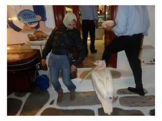 Σμύρνη: εκπαιδευτική επίσκεψη