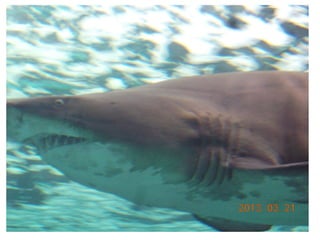 Σμύρνη: εκπαιδευτική επίσκεψη