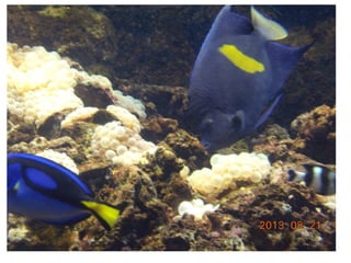 Σμύρνη: εκπαιδευτική επίσκεψη