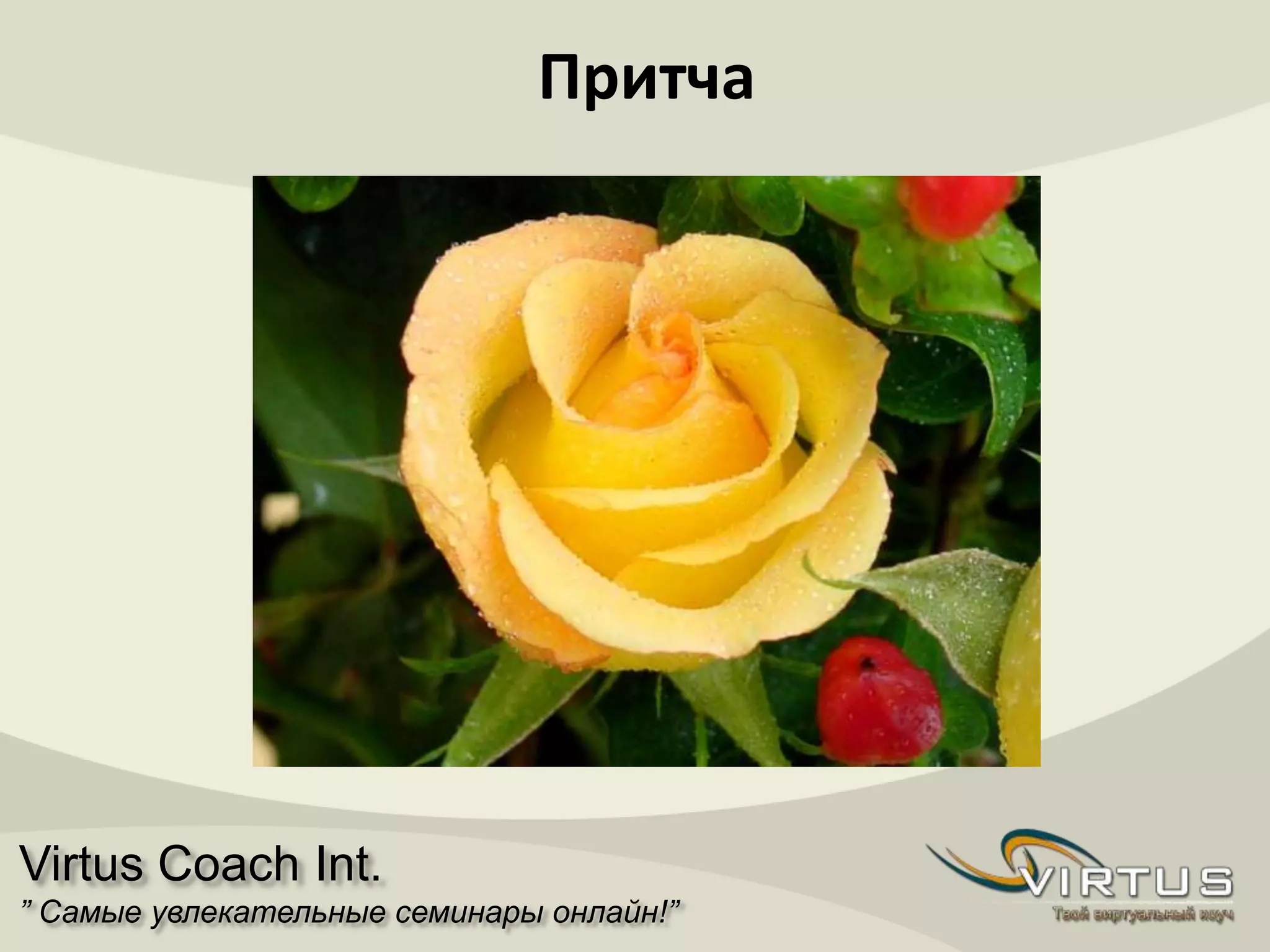 Virtus Coach Int.
” Самые увлекательные семинары онлайн!”
Притча
 