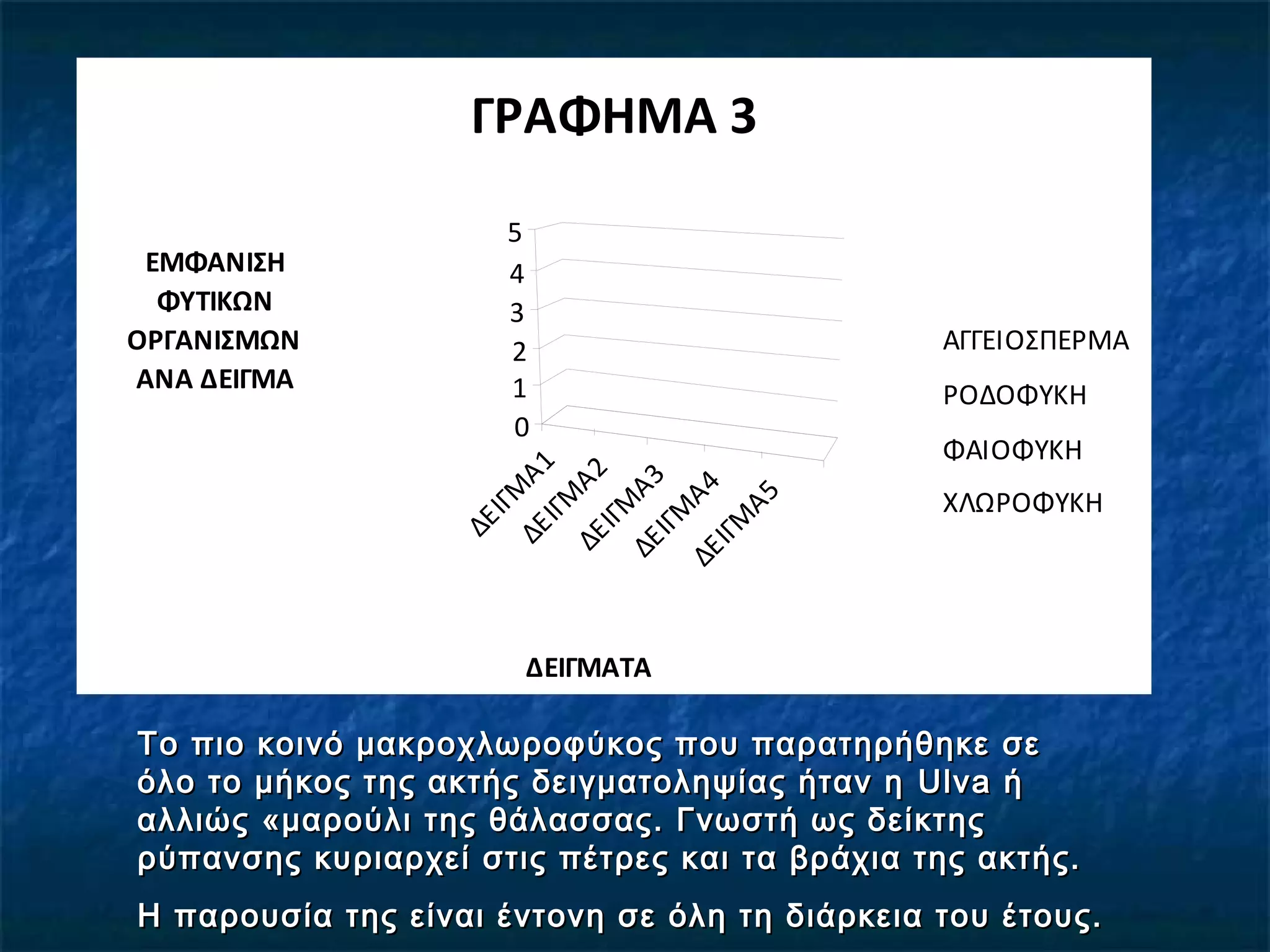 ΔΕΙΓΜ
Α1ΔΕΙΓΜ
Α2ΔΕΙΓΜ
Α3ΔΕΙΓΜ
Α4ΔΕΙΓΜ
Α5
0
1
2
3
4
5
ΕΜΦΑΝΙΣΗ
ΦΥΤΙΚΩΝ
ΟΡΓΑΝΙΣΜΩΝ
ΑΝΑ ΔΕΙΓΜΑ
ΔΕΙΓΜΑΤΑ
ΓΡΑΦΗΜΑ 3
ΑΓΓΕΙOΣΠEΡΜΑ
ΡΟΔΟΦΥΚΗ
ΦΑΙΟΦΥΚΗ
ΧΛΩΡΟΦΥΚΗ
Το πιο κοινό μακροχλωροφύκος που παρατηρήθηκε σεΤο πιο κοινό μακροχλωροφύκος που παρατηρήθηκε σε
όλο το μήκος της ακτής δειγματοληψίας ήταν ηόλο το μήκος της ακτής δειγματοληψίας ήταν η UlvaUlva ήή
αλλιώς «μαρούλι της θάλασσας. Γνωστή ως δείκτηςαλλιώς «μαρούλι της θάλασσας. Γνωστή ως δείκτης
ρύπανσης κυριαρχεί στις πέτρες και τα βράχια της ακτής.ρύπανσης κυριαρχεί στις πέτρες και τα βράχια της ακτής.
Η παρουσία της είναι έντονη σε όλη τη διάρκεια του έτους.Η παρουσία της είναι έντονη σε όλη τη διάρκεια του έτους.
 