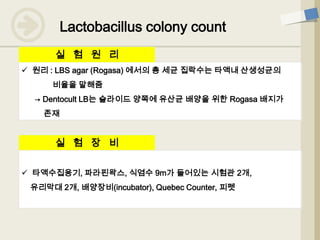  원리 : LBS agar (Rogasa) 에서의 총 세균 집락수는 타액내 산생성균의
비율을 말해줌
→ Dentocult LB는 슬라이드 양쪽에 유산균 배양을 위한 Rogasa 배지가
존재
실 험 원 리
실 험 장 비
 타액수집용기, 파라핀왁스, 식염수 9m가 들어있는 시험관 2개,
유리막대 2개, 배양장비(incubator), Quebec Counter, 피펫
Lactobacillus colony count
 
