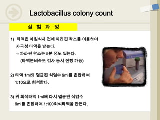 1) 타액은 아침식사 전에 파라핀 왁스를 이용하여
자극성 타액을 받는다.
→ 파라핀 왁스는 5분 정도 씹는다.
(타액분비속도 검사 동시 진행 가능)
2) 타액 1ml와 멸균된 식염수 9ml를 혼합하여
1:10으로 희석한다.
3) 위 희석타액 1ml에 다시 멸균된 식염수
9ml를 혼합하여 1:100희석타액을 만든다.
실 험 과 정
Lactobacillus colony count
 