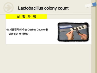 6) 세균집락의 수는 Quebec Counter를
이용하여 측정한다.
실 험 과 정
Lactobacillus colony count
 
