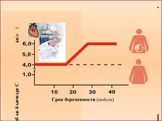 Срок беременности (недели)
Сердечныйвыб(л/мин)
 