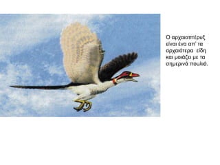 Ο αξραηνπηέξπμ
είλαη έλα απ’ ηα
αξραηόηεξα είδε
θαη κνηάδεη κε ηα
ζεκεξηλά πνπιηά.
 