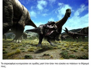 Τα ζαξθνθάγα θπλεγνύζαλ ζε νκάδεο γηαηί έηζη ήηαλ πην εύθνιν λα πηάζνπλ ην ζήξακά
ηνπο.
 