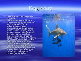 ΚαρχαρίεςΚαρχαρίες
 Οι καρχαρίες και τα μικρότεραΟι καρχαρίες και τα μικρότερα
συγγενικάσυγγενικά
τους σκυλόψαρα, γαλέοι κ.ά.τους σκυλόψαρα, γαλέοι κ.ά.
έχουν ομοιογένεια μορφολογικήέχουν ομοιογένεια μορφολογική
και λειτουργική. Έχουνκαι λειτουργική. Έχουν
ασβεστοποιημένο καιασβεστοποιημένο και
αποκλειστικά χόνδρινο σκελετό,αποκλειστικά χόνδρινο σκελετό,
μεγάλο κεφάλι, μεγάλα δόντια,μεγάλο κεφάλι, μεγάλα δόντια,
σώμα επίμηκες, υδροδυναμικό,σώμα επίμηκες, υδροδυναμικό,
ισχυρή ουρά, με συνήθωςισχυρή ουρά, με συνήθως
ετερόκερκο ουραίο πτερύγιο,ετερόκερκο ουραίο πτερύγιο,
δέρμα τραχύ (καστανό στη ράχηδέρμα τραχύ (καστανό στη ράχη
και καστανόλευκο στην κοιλιά)και καστανόλευκο στην κοιλιά)
καλυμμένο από "πλακοειδήκαλυμμένο από "πλακοειδή
λέπια" (δερματικά δόντια).λέπια" (δερματικά δόντια).
Πρόκειται για ταχύτατους καιΠρόκειται για ταχύτατους και
άριστους κολυμβητές, αδηφάγα,άριστους κολυμβητές, αδηφάγα,
σαρκοβόρα ψάρια. Επίσης οισαρκοβόρα ψάρια. Επίσης οι
περισσότεροι καρχαρίεςπερισσότεροι καρχαρίες
είναι ωοζωοτόκα ζώα.είναι ωοζωοτόκα ζώα.
 