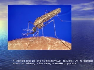 Η
Η ελονοσία είναι μία από τις πιο επικίνδυνες αρρώστιες. Άν σε τσιμπήσει
Μπορεί να πεθάνεις αν δεν πάρεις τα κατάλληλα φάρμακα.
 