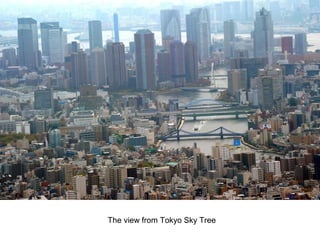 The view from Tokyo Sky Tree
 