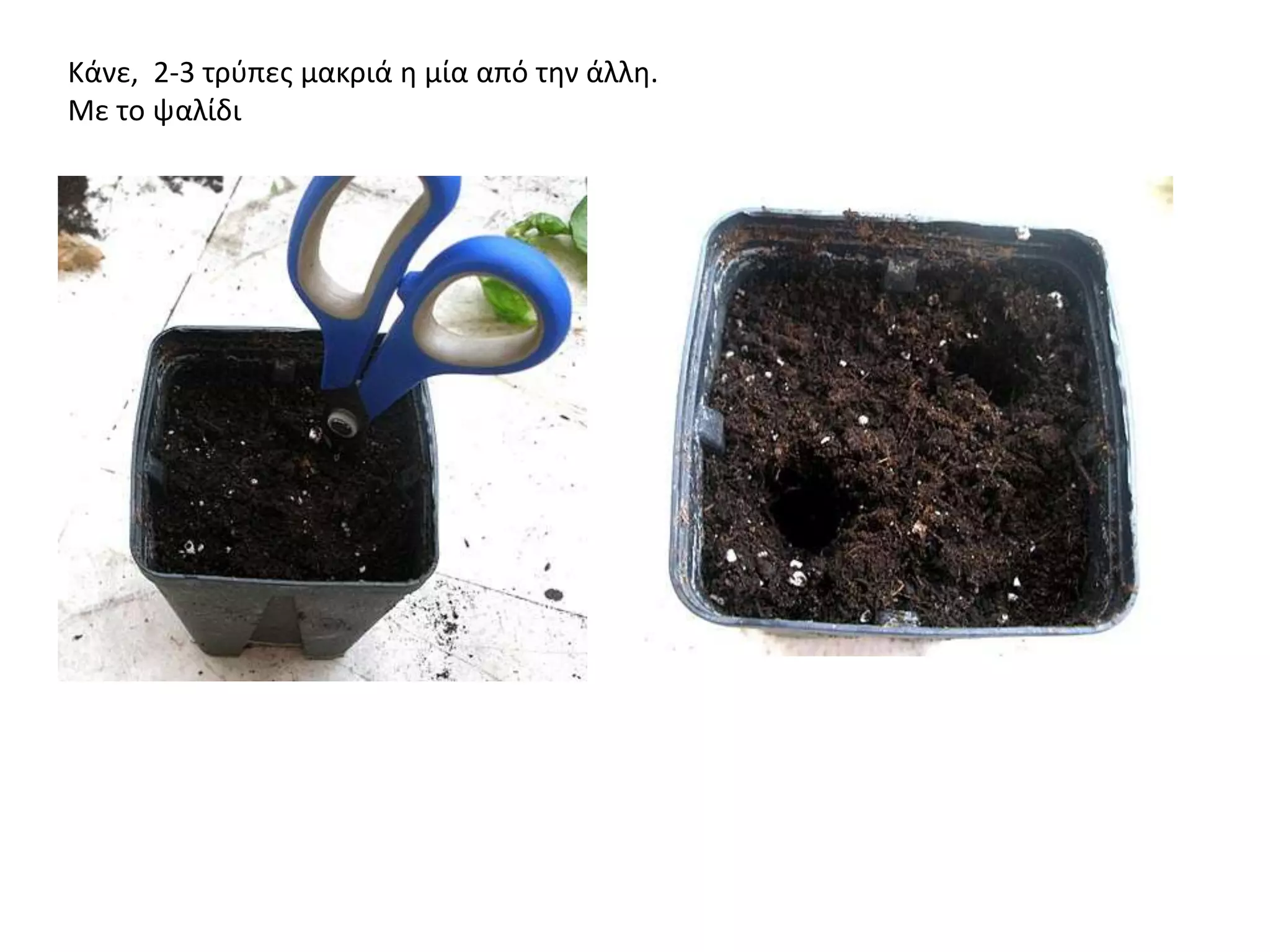 Κάνε, 2-3 τρφπεσ μακριά θ μία από τθν άλλθ.
Με το ψαλίδι
 