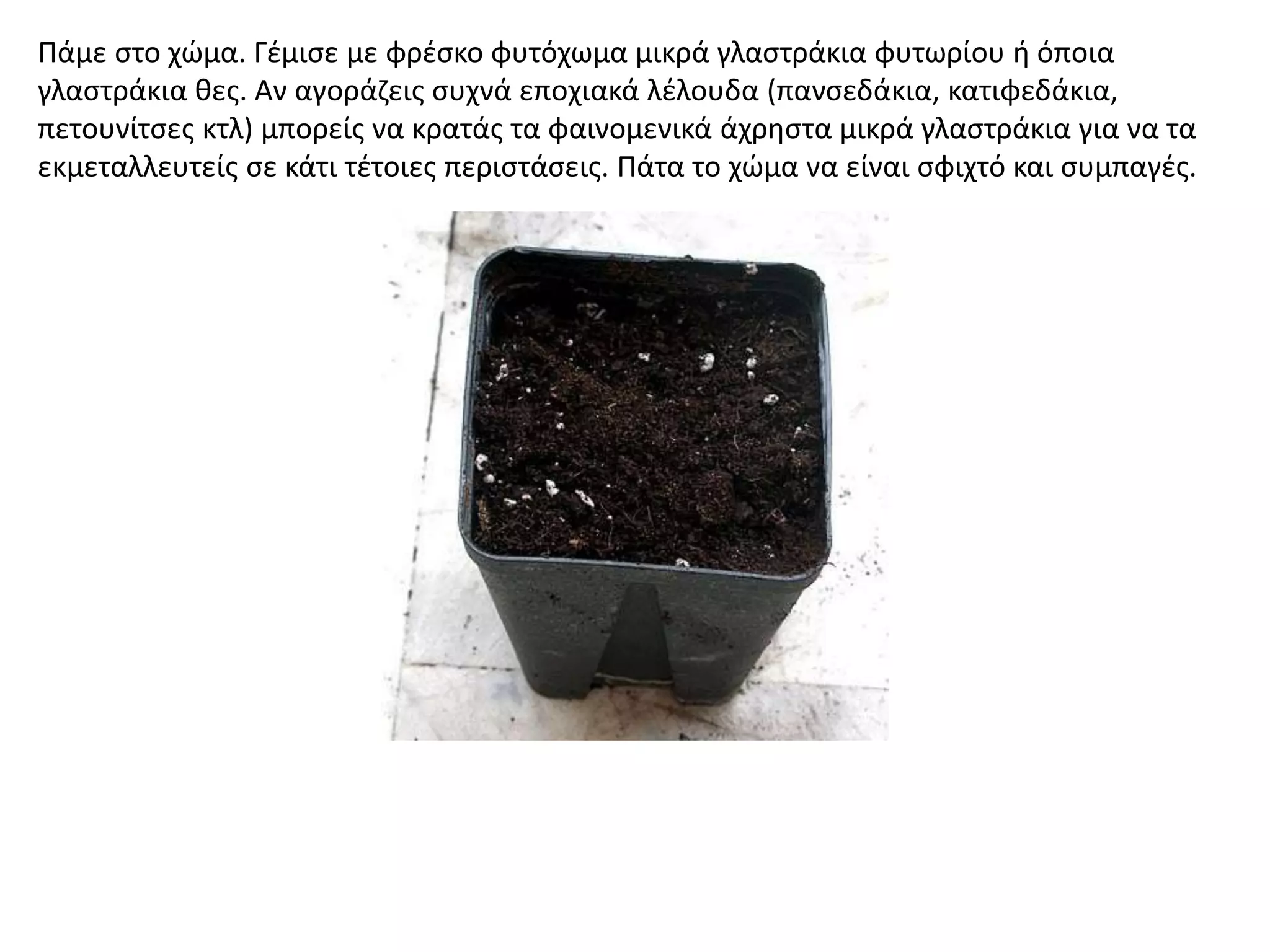 Πάμε ςτο χϊμα. Γζμιςε με φρζςκο φυτόχωμα μικρά γλαςτράκια φυτωρίου ι όποια
γλαςτράκια κεσ. Αν αγοράηεισ ςυχνά εποχιακά λζλουδα (πανςεδάκια, κατιφεδάκια,
πετουνίτςεσ κτλ) μπορείσ να κρατάσ τα φαινομενικά άχρθςτα μικρά γλαςτράκια για να τα
εκμεταλλευτείσ ςε κάτι τζτοιεσ περιςτάςεισ. Πάτα το χϊμα να είναι ςφιχτό και ςυμπαγζσ.
 