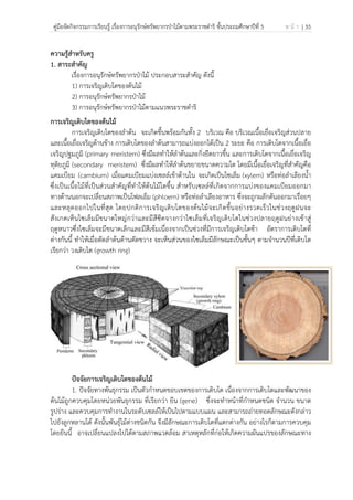 คู่มือจัดกิจกรรมการเรียนรู้ เรื่องการอนุรักษ์ทรัพยากรป่าไม้ตามพระราชดําริ ชั้นประถมศึกษาปีที่ 5 ห น้ า | 35
 
 
ความรู้สําหรับครู
1. สาระสําคัญ
เรื่องการอนุรักษ์ทรัพยากรป่าไม้ ประกอบสาระสําคัญ ดังนี้
1) การเจริญเติบโตของต้นไม้
2) การอนุรักษ์ทรัพยากรป่าไม้
3) การอนุรักษ์ทรัพยากรป่าไม้ตามแนวพระราชดําริ
การเจริญเติบโตของต้นไม้
การเจริญเติบโตของลําต้น จะเกิดขึ้นพร้อมกันทั้ง 2 บริเวณ คือ บริเวณเนื้อเยื่อเจริญส่วนปลาย
และเนื้อเยื่อเจริญด้านข้าง การเติบโตของลําต้นสามารถแบ่งออกได้เป็น 2 ระยะ คือ การเติบโตจากเนื้อเยื่อ
เจริญปฐมภูมิ (primary meristem) ซึ่งมีผลทําให้ลําต้นและกิ่งยืดยาวขึ้น และการเติบโตจากเนื้อเยื่อเจริญ
ทุติยภูมิ (secondary meristem) ซึ่งมีผลทําให้ลําต้นขยายขนาดความโต โดยมีเนื้อเยื่อเจริญที่สําคัญคือ
แคมเบียม (cambium) เมื่อแคมเบียมแบ่งเซลล์เข้าด้านใน จะเกิดเป็นไซเล็ม (xylem) หรือท่อลําเลียงน้ํา
ซึ่งเป็นเนื้อไม้ที่เป็นส่วนสําคัญที่ทําให้ต้นไม้โตขึ้น สําหรับเซลล์ที่เกิดจากการแบ่งของแคมเบียมออกมา
ทางด้านนอกจะเปลี่ยนสภาพเป็นโฟลเอ็ม (phloem) หรือท่อลําเลียงอาหาร ซึ่งจะถูกผลักดันออกมาเรื่อยๆ
และหลุดออกไปในที่สุด โดยปกติการเจริญเติบโตของต้นไม้จะเกิดขึ้นอย่างรวดเร็วในช่วงฤดูฝนจะ
สังเกตเห็นไซเล็มมีขนาดใหญ่กว่าและมีสีซีดจางกว่าไซเล็มที่เจริญเติบโตในช่วงปลายฤดูฝนย่างเข้าสู่
ฤดูหนาวซึ่งไซเล็มจะมีขนาดเล็กและมีสีเข้มเนื่องจากเป็นช่วงที่มีการเจริญเติบโตช้า อัตราการเติบโตที่
ต่างกันนี้ ทําให้เมื่อตัดลําต้นด้านตัดขวาง จะเห็นส่วนของไซเล็มมีลักษณะเป็นชั้นๆ ตามจํานวนปีที่เติบโต
เรียกว่า วงเติบโต (growth ring)
ปัจจัยการเจริญเติบโตของต้นไม้
1. ปัจจัยทางพันธุกรรม เป็นตัวกําหนดขอบเขตของการเติบโต เนื่องจากการเติบโตและพัฒนาของ
ต้นไม้ถูกควบคุมโดยหน่วยพันธุกรรม ที่เรียกว่า ยีน (gene) ซึ่งจะทําหน้าที่กําหนดชนิด จํานวน ขนาด
รูปร่าง และควบคุมการทํางานในระดับเซลล์ให้เป็นไปตามแบบแผน และสามารถถ่ายทอดลักษณะดังกล่าว
ไปยังลูกหลานได้ ดังนั้นพันธุ์ไม้ต่างชนิดกัน จึงมีลักษณะการเติบโตที่แตกต่างกัน อย่างไรก็ตามการควบคุม
โดยยีนนี้ อาจเปลี่ยนแปลงไปได้ตามสภาพแวดล้อม สาเหตุหลักที่ก่อให้เกิดความผันแปรของลักษณะทาง
 