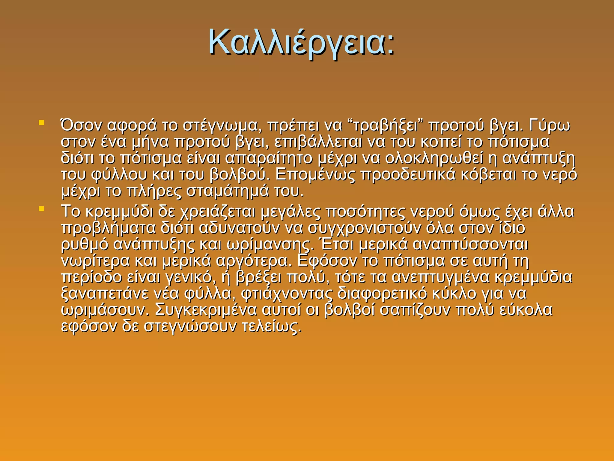 Καλλιέργεια:Καλλιέργεια:
 Όσον αφορά το στέγνωμα, πρέπει να “τραβήξει” προτού βγει. ΓύρωΌσον αφορά το στέγνωμα, πρέπει να “τραβήξει” προτού βγει. Γύρω
στον ένα μήνα προτού βγει, επιβάλλεται να του κοπεί το πότισμαστον ένα μήνα προτού βγει, επιβάλλεται να του κοπεί το πότισμα
διότι το πότισμα είναι απαραίτητο μέχρι να ολοκληρωθεί η ανάπτυξηδιότι το πότισμα είναι απαραίτητο μέχρι να ολοκληρωθεί η ανάπτυξη
του φύλλου και του βολβού. Επομένως προοδευτικά κόβεται το νερότου φύλλου και του βολβού. Επομένως προοδευτικά κόβεται το νερό
μέχρι το πλήρες σταμάτημά του.μέχρι το πλήρες σταμάτημά του.
 Το κρεμμύδι δε χρειάζεται μεγάλες ποσότητες νερού όμως έχει άλλαΤο κρεμμύδι δε χρειάζεται μεγάλες ποσότητες νερού όμως έχει άλλα
προβλήματα διότι αδυνατούν να συγχρονιστούν όλα στον ίδιοπροβλήματα διότι αδυνατούν να συγχρονιστούν όλα στον ίδιο
ρυθμό ανάπτυξης και ωρίμανσης. Έτσι μερικά αναπτύσσονταιρυθμό ανάπτυξης και ωρίμανσης. Έτσι μερικά αναπτύσσονται
νωρίτερα και μερικά αργότερα. Εφόσον το πότισμα σε αυτή τηνωρίτερα και μερικά αργότερα. Εφόσον το πότισμα σε αυτή τη
περίοδο είναι γενικό, ή βρέξει πολύ, τότε τα ανεπτυγμένα κρεμμύδιαπερίοδο είναι γενικό, ή βρέξει πολύ, τότε τα ανεπτυγμένα κρεμμύδια
ξαναπετάνε νέα φύλλα, φτιάχνοντας διαφορετικό κύκλο για ναξαναπετάνε νέα φύλλα, φτιάχνοντας διαφορετικό κύκλο για να
ωριμάσουν. Συγκεκριμένα αυτοί οι βολβοί σαπίζουν πολύ εύκολαωριμάσουν. Συγκεκριμένα αυτοί οι βολβοί σαπίζουν πολύ εύκολα
εφόσον δε στεγνώσουν τελείως.εφόσον δε στεγνώσουν τελείως.
 