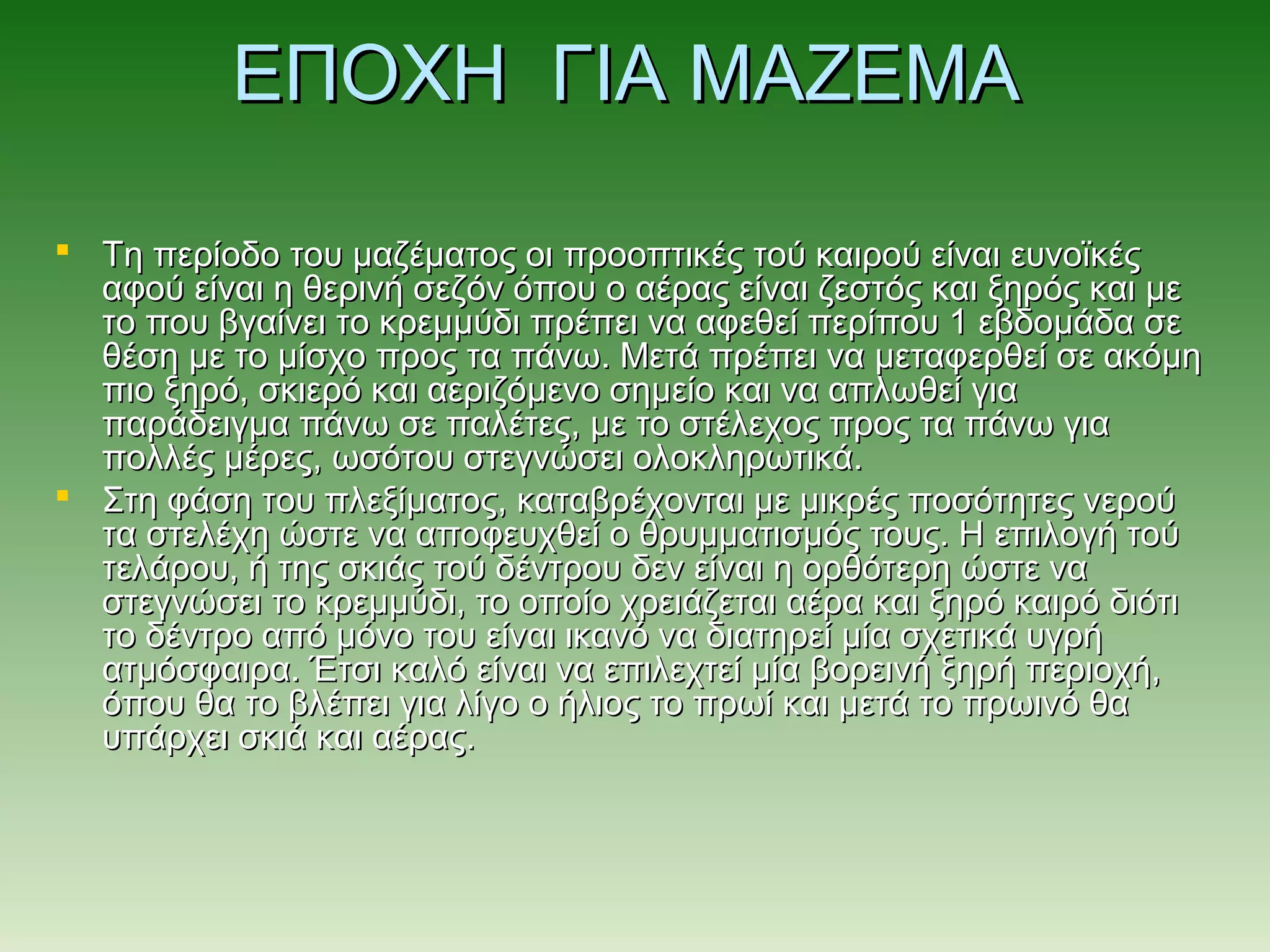 ΕΠΟΧΗ ΓΙΑ ΜΑΖΕΜΑΕΠΟΧΗ ΓΙΑ ΜΑΖΕΜΑ
 Τη περίοδο του μαζέματος οι προοπτικές τού καιρού είναι ευνοϊκέςΤη περίοδο του μαζέματος οι προοπτικές τού καιρού είναι ευνοϊκές
αφού είναι η θερινή σεζόν όπου ο αέρας είναι ζεστός και ξηρός και μεαφού είναι η θερινή σεζόν όπου ο αέρας είναι ζεστός και ξηρός και με
το που βγαίνει το κρεμμύδι πρέπει να αφεθεί περίπου 1 εβδομάδα σετο που βγαίνει το κρεμμύδι πρέπει να αφεθεί περίπου 1 εβδομάδα σε
θέση με το μίσχο προς τα πάνω. Μετά πρέπει να μεταφερθεί σε ακόμηθέση με το μίσχο προς τα πάνω. Μετά πρέπει να μεταφερθεί σε ακόμη
πιο ξηρό, σκιερό και αεριζόμενο σημείο και να απλωθεί γιαπιο ξηρό, σκιερό και αεριζόμενο σημείο και να απλωθεί για
παράδειγμα πάνω σε παλέτες, με το στέλεχος προς τα πάνω γιαπαράδειγμα πάνω σε παλέτες, με το στέλεχος προς τα πάνω για
πολλές μέρες, ωσότου στεγνώσει ολοκληρωτικά.πολλές μέρες, ωσότου στεγνώσει ολοκληρωτικά.
 Στη φάση του πλεξίματος, καταβρέχονται με μικρές ποσότητες νερούΣτη φάση του πλεξίματος, καταβρέχονται με μικρές ποσότητες νερού
τα στελέχη ώστε να αποφευχθεί ο θρυμματισμός τους. Η επιλογή τούτα στελέχη ώστε να αποφευχθεί ο θρυμματισμός τους. Η επιλογή τού
τελάρου, ή της σκιάς τού δέντρου δεν είναι η ορθότερη ώστε νατελάρου, ή της σκιάς τού δέντρου δεν είναι η ορθότερη ώστε να
στεγνώσει το κρεμμύδι, το οποίο χρειάζεται αέρα και ξηρό καιρό διότιστεγνώσει το κρεμμύδι, το οποίο χρειάζεται αέρα και ξηρό καιρό διότι
το δέντρο από μόνο του είναι ικανό να διατηρεί μία σχετικά υγρήτο δέντρο από μόνο του είναι ικανό να διατηρεί μία σχετικά υγρή
ατμόσφαιρα. Έτσι καλό είναι να επιλεχτεί μία βορεινή ξηρή περιοχή,ατμόσφαιρα. Έτσι καλό είναι να επιλεχτεί μία βορεινή ξηρή περιοχή,
όπου θα το βλέπει για λίγο ο ήλιος το πρωί και μετά το πρωινό θαόπου θα το βλέπει για λίγο ο ήλιος το πρωί και μετά το πρωινό θα
υπάρχει σκιά και αέρας.υπάρχει σκιά και αέρας.
 
