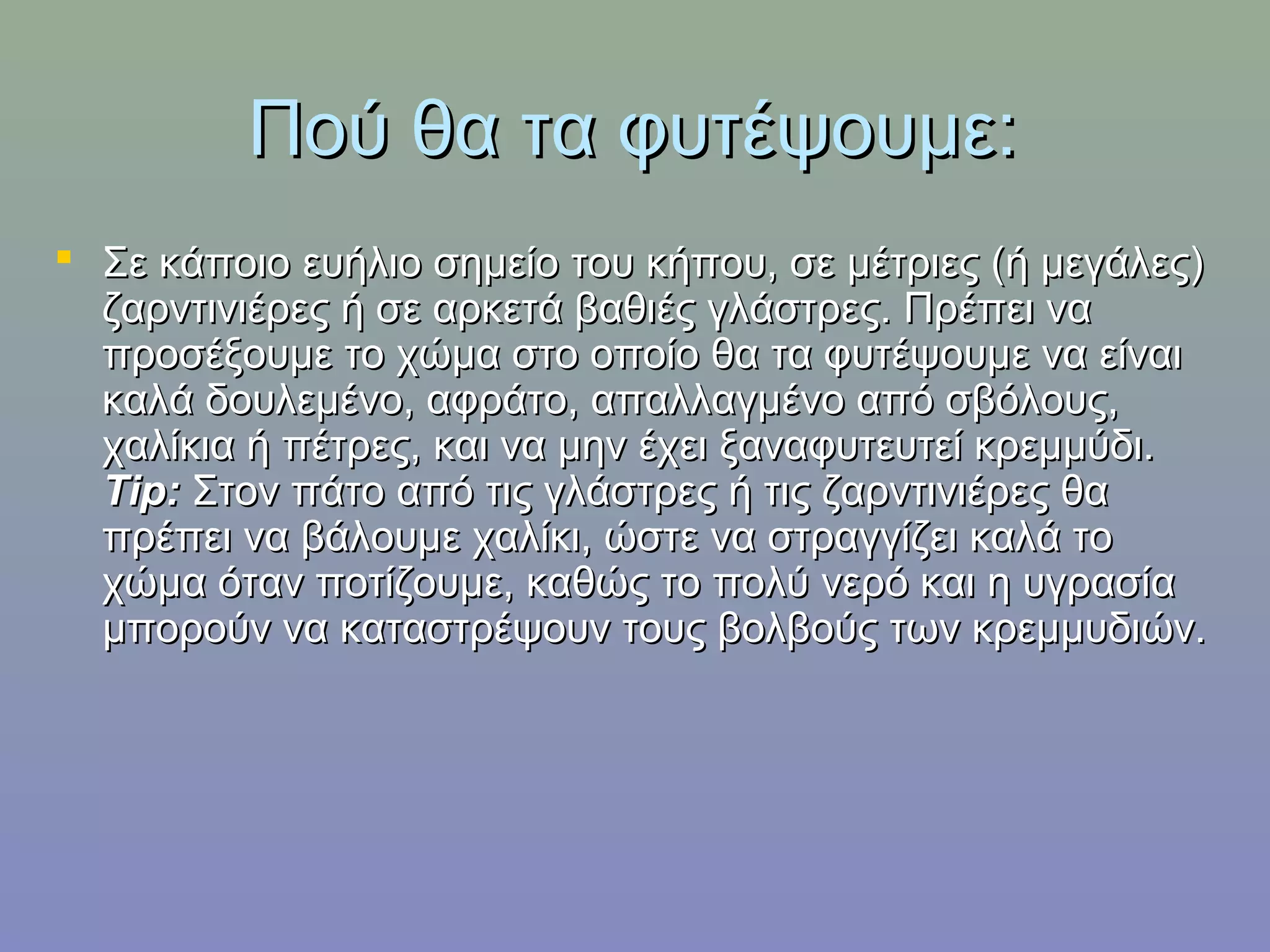 Πού θα τα φυτέψουµε:Πού θα τα φυτέψουµε:
 Σε κάποιο ευήλιο σημείο του κήπου, σε μέτριες (ή μεγάλες)Σε κάποιο ευήλιο σημείο του κήπου, σε μέτριες (ή μεγάλες)
ζαρντινιέρες ή σε αρκετά βαθιές γλάστρες. Πρέπει ναζαρντινιέρες ή σε αρκετά βαθιές γλάστρες. Πρέπει να
προσέξουμε το χώμα στο οποίο θα τα φυτέψουμε να είναιπροσέξουμε το χώμα στο οποίο θα τα φυτέψουμε να είναι
καλά δουλεμένο, αφράτο, απαλλαγμένο από σβόλους,καλά δουλεμένο, αφράτο, απαλλαγμένο από σβόλους,
χαλίκια ή πέτρες, και να μην έχει ξαναφυτευτεί κρεμμύδι.χαλίκια ή πέτρες, και να μην έχει ξαναφυτευτεί κρεμμύδι.
Tip:Tip: Στον πάτο από τις γλάστρες ή τις ζαρντινιέρες θαΣτον πάτο από τις γλάστρες ή τις ζαρντινιέρες θα
πρέπει να βάλουμε χαλίκι, ώστε να στραγγίζει καλά τοπρέπει να βάλουμε χαλίκι, ώστε να στραγγίζει καλά το
χώμα όταν ποτίζουμε, καθώς το πολύ νερό και η υγρασίαχώμα όταν ποτίζουμε, καθώς το πολύ νερό και η υγρασία
μπορούν να καταστρέψουν τους βολβούς των κρεμμυδιών.μπορούν να καταστρέψουν τους βολβούς των κρεμμυδιών.
 