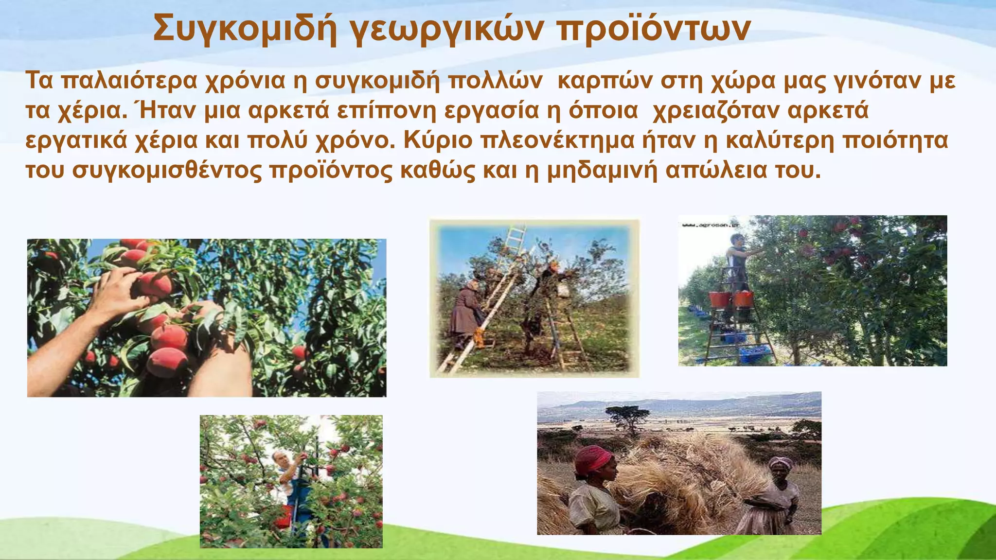 ΢πγθνκηδή γεσξγηθώλ πξντόλησλ
Σα παιαηόηεξα ρξόληα ε ζπγθνκηδή πνιιώλ θαξπώλ ζηε ρώξα καο γηλόηαλ κε
ηα ρέξηα. Ήηαλ κηα αξθεηά επίπνλε εξγαζία ε όπνηα ρξεηαδόηαλ αξθεηά
εξγαηηθά ρέξηα θαη πνιύ ρξόλν. Κύξην πιενλέθηεκα ήηαλ ε θαιύηεξε πνηόηεηα
ηνπ ζπγθνκηζζέληνο πξντόληνο θαζώο θαη ε κεδακηλή απώιεηα ηνπ.
 