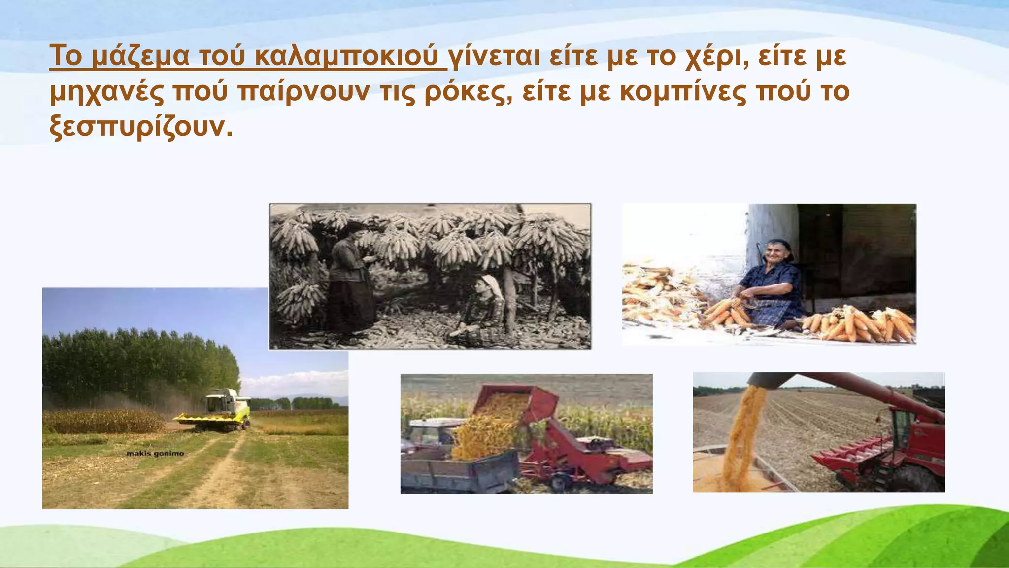 Σν κάδεκα ηνύ θαιακπνθηνύ γίλεηαη είηε κε ην ρέξη, είηε κε
κεραλέο πνύ παίξλνπλ ηηο ξόθεο, είηε κε θνκπίλεο πνύ ην
μεζππξίδνπλ.
 