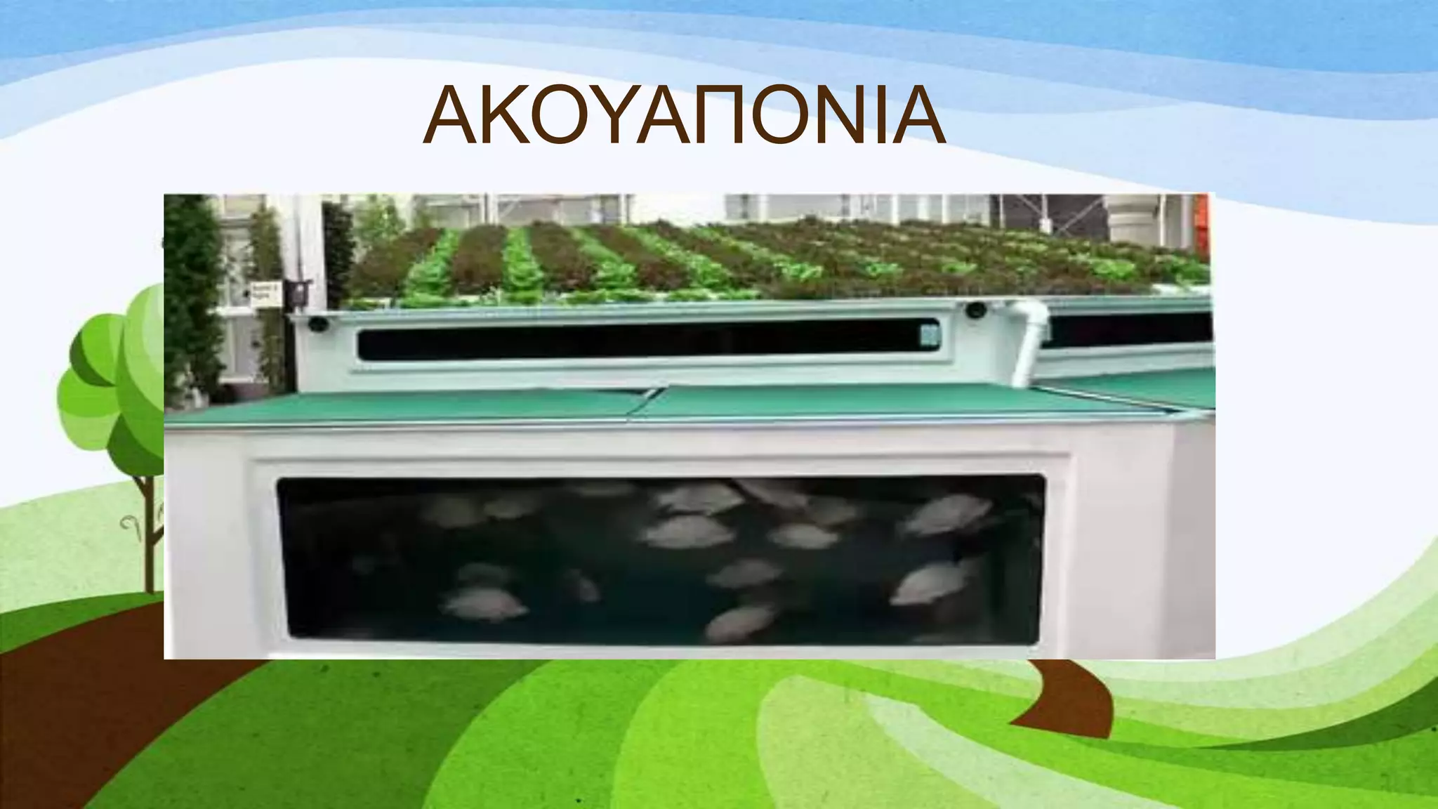 ΑΚΟΤΑΠΟΝΙΑ
 