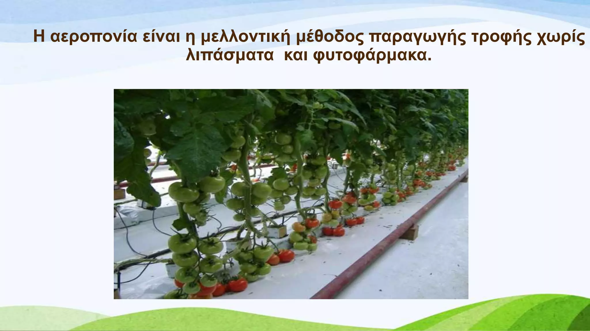 Ζ αεξνπνλία είλαη ε κειινληηθή κέζνδνο παξαγσγήο ηξνθήο ρσξίο
ιηπάζκαηα θαη θπηνθάξκαθα.
 