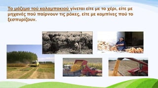 Σν κάδεκα ηνύ θαιακπνθηνύ γίλεηαη είηε κε ην ρέξη, είηε κε
κεραλέο πνύ παίξλνπλ ηηο ξόθεο, είηε κε θνκπίλεο πνύ ην
μεζππξίδνπλ.
 