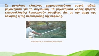 ΢ε κεγάινπο ειαηώλεο ρξεζηκνπνηνύληαη ζπρλά εηδηθά
κεραλήκαηα γηα ηε ζπγθνκηδή. Σα κεραλήκαηα ρεηξόο (βέξγεο
ειαηνζπιινγήο) ιεηηνπξγνύλ ζπλήζσο είηε κε ηελ αξρή ηεο
δόλεζεο ή ηεο πεξηζηξνθήο ηεο θεθαιήο.
΢πγθνκηδή ειηάο κε πεξηζηξνθηθή βέξγα θαη ρηέλη.
 