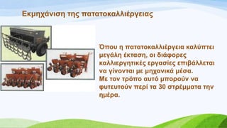 Δθκεράληζε ηεο παηαηνθαιιηέξγεηαο
Όπνπ ε παηαηνθαιιηέξγεηα θαιύπηεη
κεγάιε έθηαζε, νη δηάθνξεο
θαιιηεξγεηηθέο εξγαζίεο επηβάιιεηαη
λα γίλνληαη µε κεραληθά κέζα.
Mε ηνλ ηξόπν απηό µπνξνύλ λα
θπηεπηνύλ πεξί ηα 30 ζηξέκκαηα ηελ
εµέξα.
 
