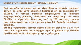 ΢εκαζία ησλ Παξαδνζηαθώλ Σνπηθώλ Πνηθηιηώλ:
Δλώ ρξεηάδνληαη αηώλεο γηα λα εμειηρζνύλ νη ηνπηθέο πνηθηιίεο
θπηώλ, ζε ιίγεο κόλν δεθαεηίεο βιέπνπκε όηη ζε νιόθιεξε ηελ
Διιάδα, νη ηνπηθέο πνηθηιίεο εμαθαλίδνληαη κε ηδηαίηεξα
αλεζπρεηηθνύο ξπζκνύο. Δλδεηθηηθά λα αλαθέξνπκε όηη ζηελ
Διιάδα, ζε ιίγεο κόλν δεθαεηίεο, από ηηο 200 πνηθηιίεο ζηαξηνύ
πνπ θαιιηεξγνύληαλ, έρνπλ κείλεη κόλν 20, δειαδή κεηώζεθαλ
θαηά 92%.
Δπίζεο, πξόζθαηεο έξεπλεο έρνπλ δείμεη όηη κόλν ην 2-3 % ησλ
πνηθηιηώλ ιαραληθώλ πνπ ππήξραλ πξηλ 50 ρξόληα ζηελ Διιάδα
έρεη δηαζσζεί ππό θαιιηέξγεηα κέρξη ηηο κέξεο καο.
 