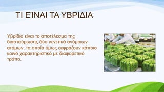 Τβξίδην είλαη ην απνηέιεζκα ηεο
δηαζηαύξσζεο δύν γελεηηθά αλόκνησλ
αηόκσλ, ηα νπνία όκσο εθθξάδνπλ θάπνην
θνηλό ραξαθηεξηζηηθό κε δηαθνξεηηθό
ηξόπν.
ΣΙ ΔΊΝΑΙ ΣΑ ΤΒΡΙΓΙΑ
 