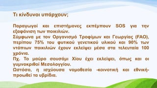 Ση θίλδπλνη ππάξρνπλ;
Παξαγσγνί θαη επηζηήκνλεο εθπέκπνπλ SOS γηα ηελ
εμαθάληζε ησλ πνηθηιηώλ.
΢ύκθσλα κε ηνλ Οξγαληζκό Σξνθίκσλ θαη Γεσξγίαο (FAO),
πεξίπνπ 75% ηνπ θπηηθνύ γελεηηθνύ πιηθνύ θαη 90% ησλ
ληόπησλ πνηθηιηώλ έρνπλ εθιείςεη κέζα ζηα ηειεπηαία 100
ρξόληα.
Πρ. Σν καύξν ζνπζάκη Υίνπ έρεη εθιείςεη, όπσο θαη νη
γπκλνθξηζνί Μεζνινγγίνπ.
Χζηόζν, ε ηζρύνπζα λνκνζεζία -θνηλνηηθή θαη εζληθή-
πξνσζεί ηα πβξίδηα.
 