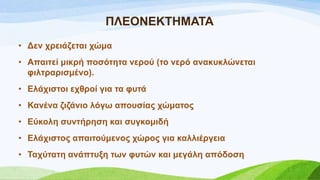 ΠΛΔΟΝΔΚΣΖΜΑΣΑ
• Γελ ρξεηάδεηαη ρώκα
• Απαηηεί κηθξή πνζόηεηα λεξνύ (ην λεξό αλαθπθιώλεηαη
θηιηξαξηζκέλν).
• Διάρηζηνη ερζξνί γηα ηα θπηά
• Καλέλα δηδάλην ιόγσ απνπζίαο ρώκαηνο
• Δύθνιε ζπληήξεζε θαη ζπγθνκηδή
• Διάρηζηνο απαηηνύκελνο ρώξνο γηα θαιιηέξγεηα
• Σαρύηαηε αλάπηπμε ησλ θπηώλ θαη κεγάιε απόδνζε
 