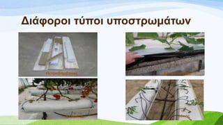 Γηάθνξνη ηύπνη ππνζηξσκάησλ
Πεηξνβάµβαθαο
πεξιίηεο θόθνο
ειαθξόπεηξα
 