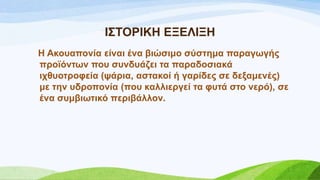 Η΢ΣΟΡΗΚΖ ΔΞΔΛΗΞΖ
H Αθνπαπνλία είλαη έλα βηώζηκν ζύζηεκα παξαγσγήο
πξντόλησλ πνπ ζπλδπάδεη ηα παξαδνζηαθά
ηρζπνηξνθεία (ςάξηα, αζηαθνί ή γαξίδεο ζε δεμακελέο)
κε ηελ πδξνπνλία (πνπ θαιιηεξγεί ηα θπηά ζην λεξό), ζε
έλα ζπκβησηηθό πεξηβάιινλ.
 