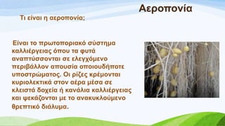 Αεξνπνλία
Ση είλαη ε αεξνπνλία;
Δίλαη ην πξσηνπνξηαθό ζύζηεκα
θαιιηέξγεηαο όπνπ ηα θπηά
αλαπηύζζνληαη ζε ειεγρόκελν
πεξηβάιινλ απνπζία νπνηνπδήπνηε
ππνζηξώκαηνο. Οη ξίδεο θξέκνληαη
θπξηνιεθηηθά ζηνλ αέξα κέζα ζε
θιεηζηά δνρεία ή θαλάιηα θαιιηέξγεηαο
θαη ςεθάδνληαη κε ην αλαθπθινύκελν
ζξεπηηθό δηάιπκα.
 