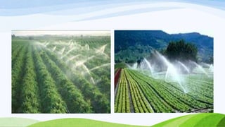 ειδικη θεματικη ΣΧ έτος 2012-2013 Η γεωργίαχτες και σήμερα 