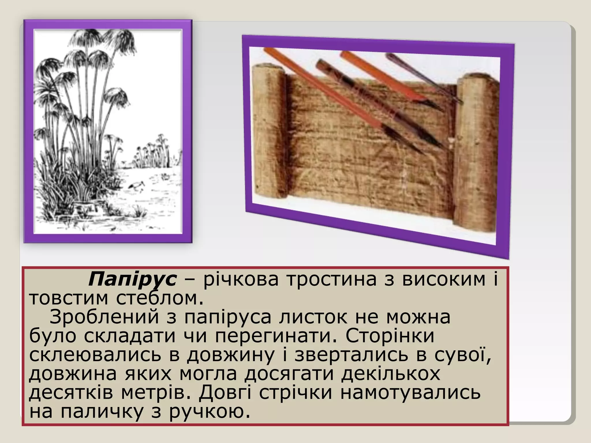 Папірус – річкова тростина з високим і
товстим стеблом.
Зроблений з папіруса листок не можна
було складати чи перегинати. Сторінки
склеювались в довжину і звертались в сувої,
довжина яких могла досягати декількох
десятків метрів. Довгі стрічки намотувались
на паличку з ручкою.
 