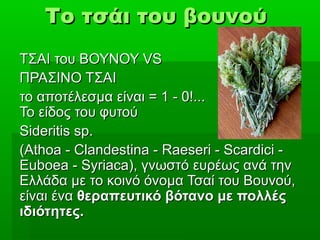   Το τσάι του βουνούΤο τσάι του βουνού
ΤΣΑΙ του ΒΟΥΝΟΥ VSΤΣΑΙ του ΒΟΥΝΟΥ VS
ΠΡΑΣΙΝΟ ΤΣΑΙΠΡΑΣΙΝΟ ΤΣΑΙ
το αποτέλεσμα είναι = 1 - 0!...το αποτέλεσμα είναι = 1 - 0!...
Το είδος του φυτούΤο είδος του φυτού
Sideritis sp.Sideritis sp.
(Athoa - Clandestina - Raeseri - Scardici -(Athoa - Clandestina - Raeseri - Scardici -
Euboea - Syriaca), γνωστό ευρέως ανά τηνEuboea - Syriaca), γνωστό ευρέως ανά την
Ελλάδα με το κοινό όνομα Τσαί του Βουνού,Ελλάδα με το κοινό όνομα Τσαί του Βουνού,
είναι έναείναι ένα θεραπευτικό βότανο με πολλέςθεραπευτικό βότανο με πολλές
ιδιότητες.ιδιότητες.
 