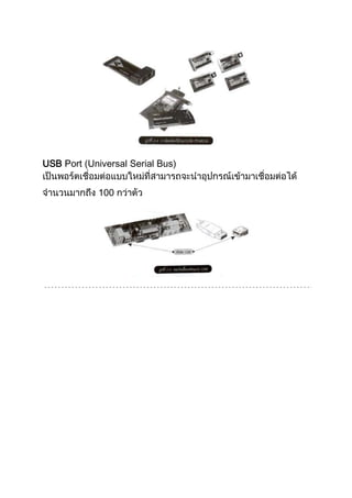 USB Port (Universal Serial Bus)
100
 