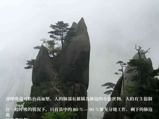 深呼吸還可防治高血壓。人的肺部有被稱為肺泡的小袋 物，大約有狀 3 億個
。
在一般呼吸的情況下，只有其中的 80 ％— 90 ％能充分地工作，剩下的肺泡
處
 