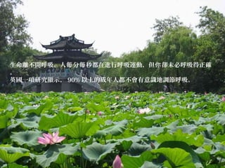 生命離不開呼吸。人 分 秒都在進行呼吸運動，但 卻未必呼吸得正確每 每 你
。
英國一項研究顯示， 90% 以上的成年人都不會有意識地調節呼吸。
 