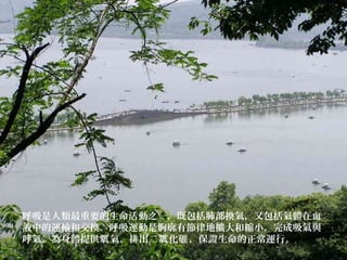 呼吸是人類最重要的生命活動之一，既包括肺部換氣，又包括氣體在血
液中的運輸和交換。呼吸運動是胸廓有節律地擴大和縮小，完成吸氣與
呼氣，為身體提供 氣，排出二 化 ，保證生命的正常運行。氧 氧 碳
 