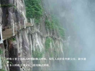 呼吸主要分為腹式呼吸和胸式呼吸。現代人由於常坐 公室，缺少運辦
動
許多人呼吸又淺又短，僅用胸式呼吸。
 