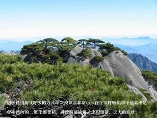 這種僅用胸式呼吸的方式 次換氣量非常小，在正常呼吸頻率下通氣不足每
，
會使體 的二 化 累積，導致腦部缺 ，出現頭暈、乏力的症 。內 氧 碳 氧 狀
 